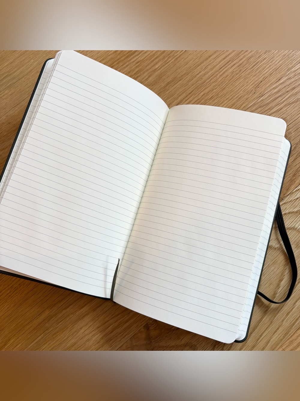 Moleskine Large Notebook - Picture 3 of 4